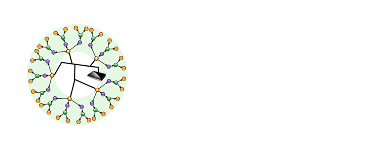 Network edge storage